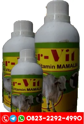 Probiotik Ternak Sapi, Probiotik Ternak Kambing