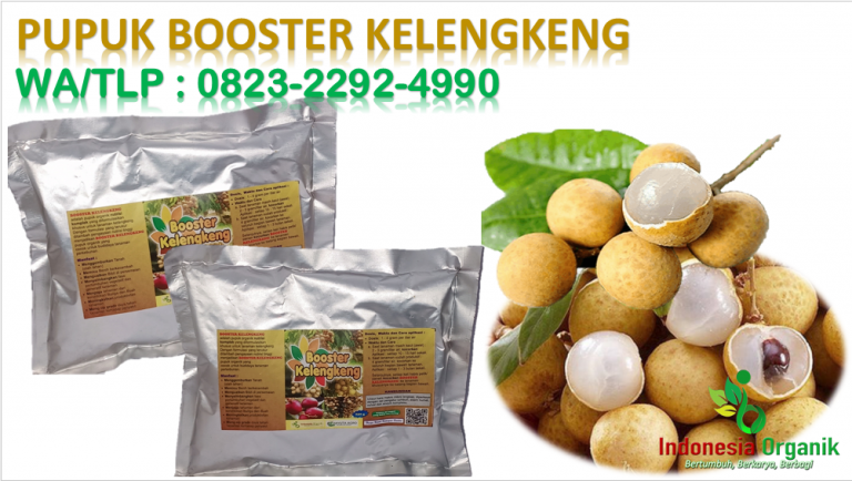 PUPUK booster kelengkeng