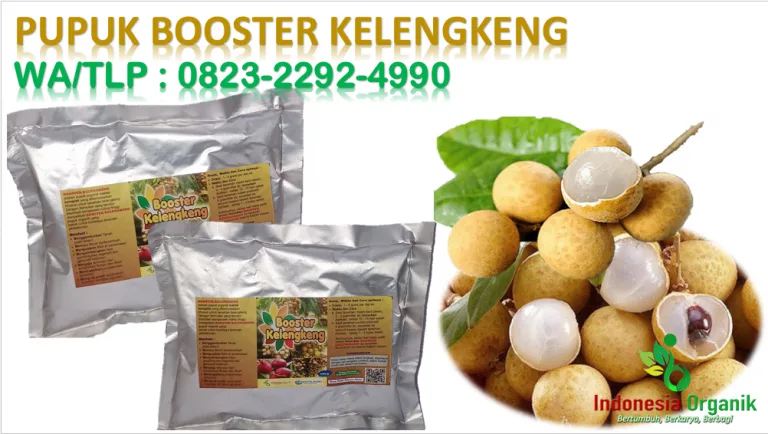PUPUK booster kelengkeng