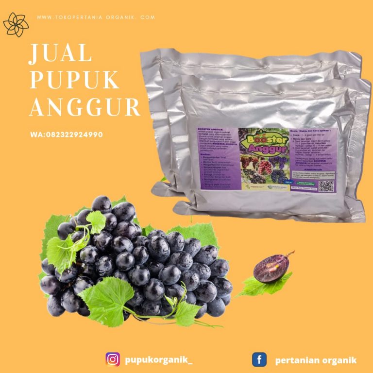 PUPUK BOOSTER ANGGUR BRAZIL