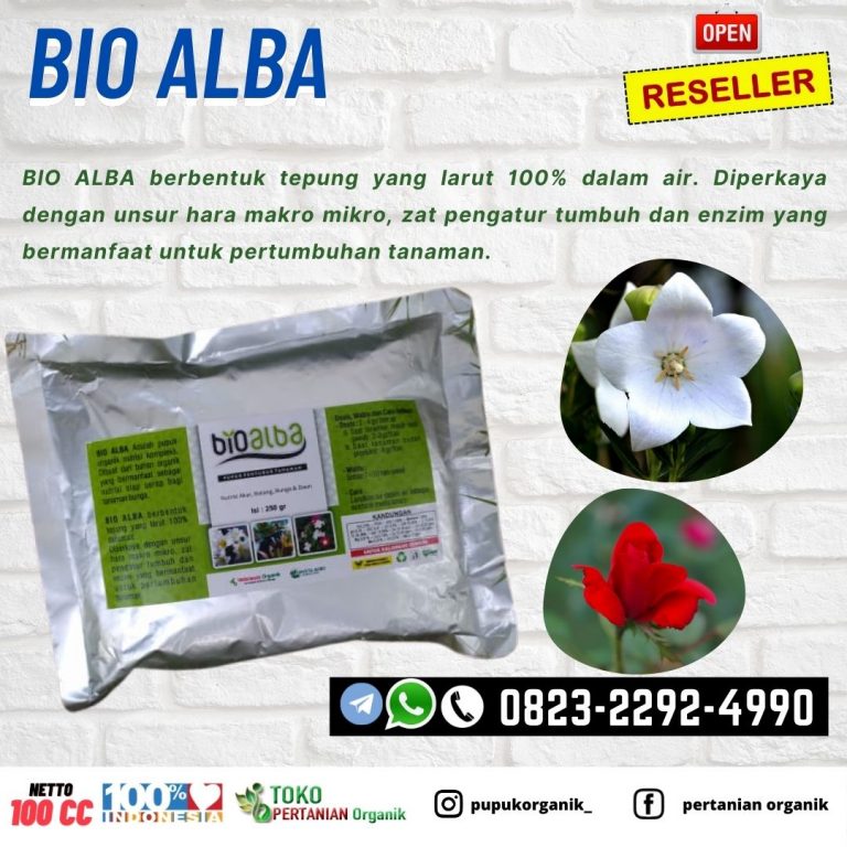 PUPUK NUTRISI BUNGA MAWAR, PUPUK BUNGA ADENIUM