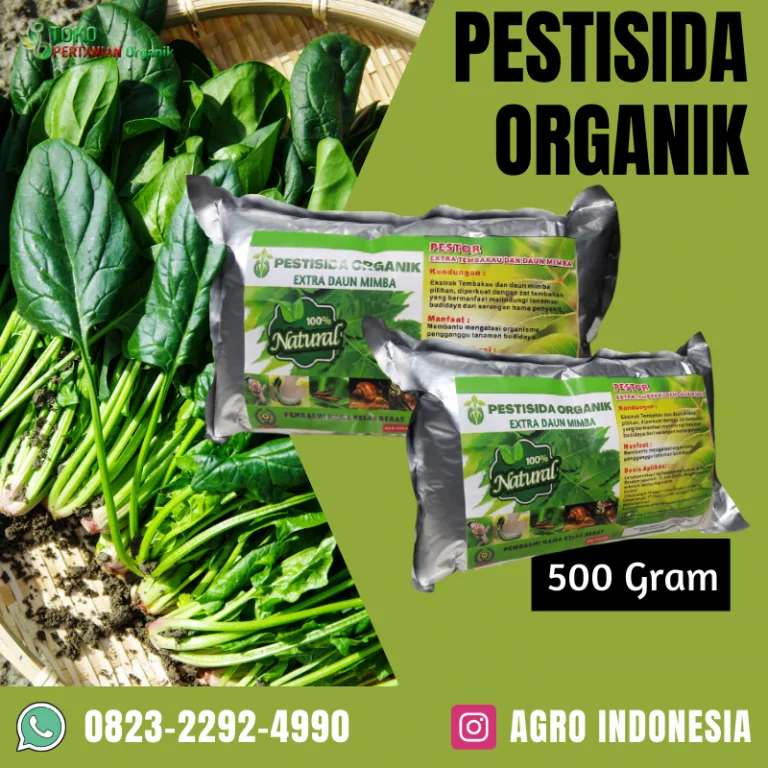PESTOR – EXTRA TEMBAKAU DAN DAUN MIMBA