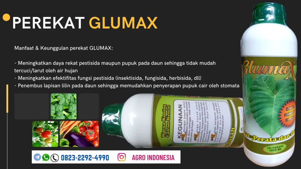 AGEN pembasah perekat pupuk Semarang, SUPPLIER perekat pupuk glumax Magelang, DISTRIBUTOR perekat pupuk daun Bogor, HARGA perekat pupuk cair Bandung, AGEN perekat pupuk granul Surabaya, SUPPLIER perekat pupuk daun alami Jember, GROSIR perekat pupuk daun dan pestisida Jakarta, JUAL perata pupuk daun Banten, DISTRIBUTOR perata pembasah pupuk Kota Palembang, HARGA perekat pembasah pupuk Banyuasin