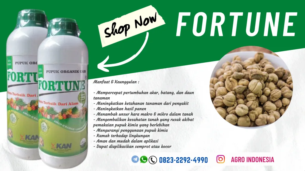 AGEN pupuk cair untuk kapulaga Wonosari, HARGA pupuk cair untuk memperbanyak anakan padi Jakarta Pusat, AGEN pupuk cair untuk padi Kepulauan Seribu, SUPPLIER pupuk cair untuk padi bunting Bandung Barat, AGEN pupuk cair untuk jagung Ngamprah, JUAL pupuk cair untuk kencur Rangkasbitung, DISTRIBUTOR pupuk cair untuk bawang merah Pandeglang, HARGA pupuk cair untuk padi sawah Banyumas, AGEN pupuk cair untuk porang Purwokerto, SUPPLIER pupuk cair untuk bawang daun Gunungkidul