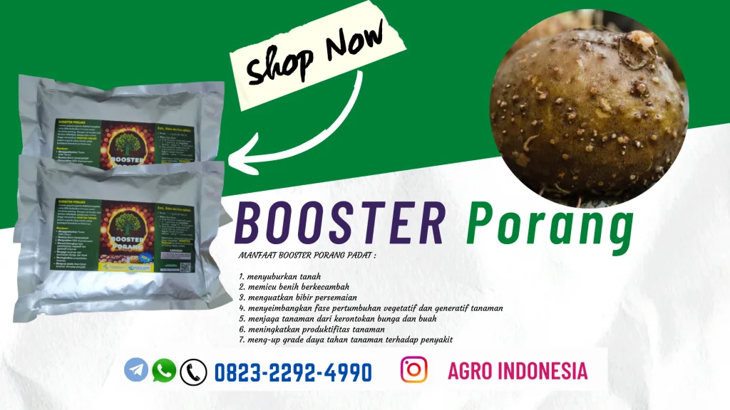 AGEN pupuk cair untuk porang Purwokerto, SUPPLIER pupuk cair untuk bawang daun Gunungkidul, AGEN pupuk cair untuk kapulaga Wonosari, HARGA pupuk cair untuk memperbanyak anakan padi Ja