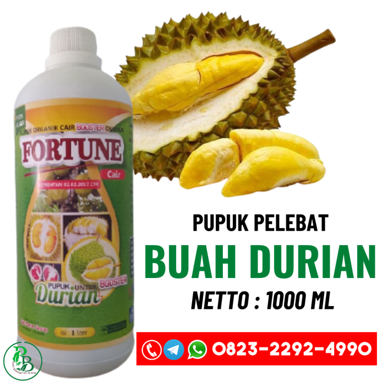 Pupuk Buah Durian Agar Berbuah Lebat, BOOSTER DURIAN CAIR MONTONG