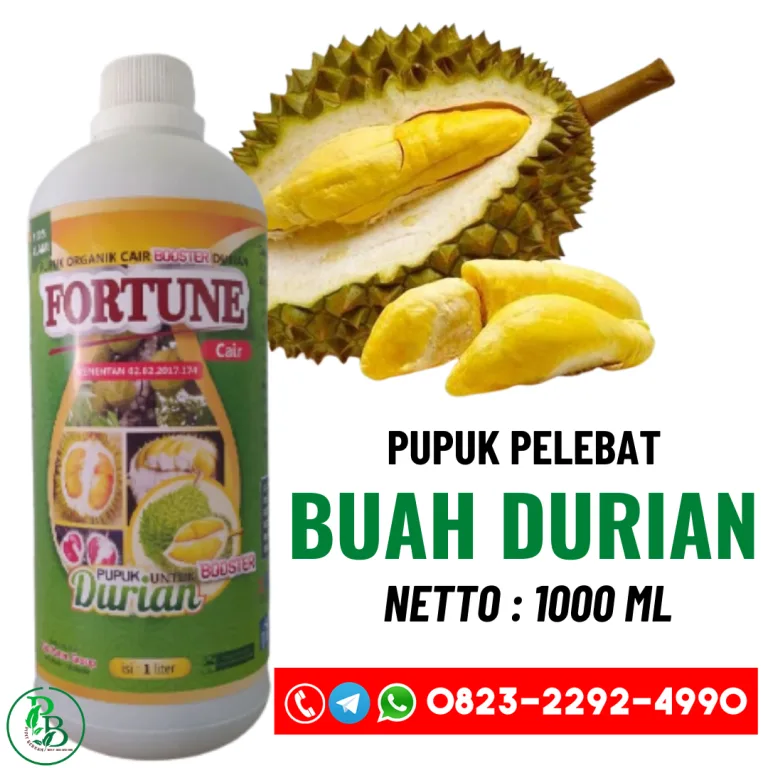Pupuk Buah Durian Agar Berbuah Lebat, BOOSTER DURIAN CAIR MONTONG