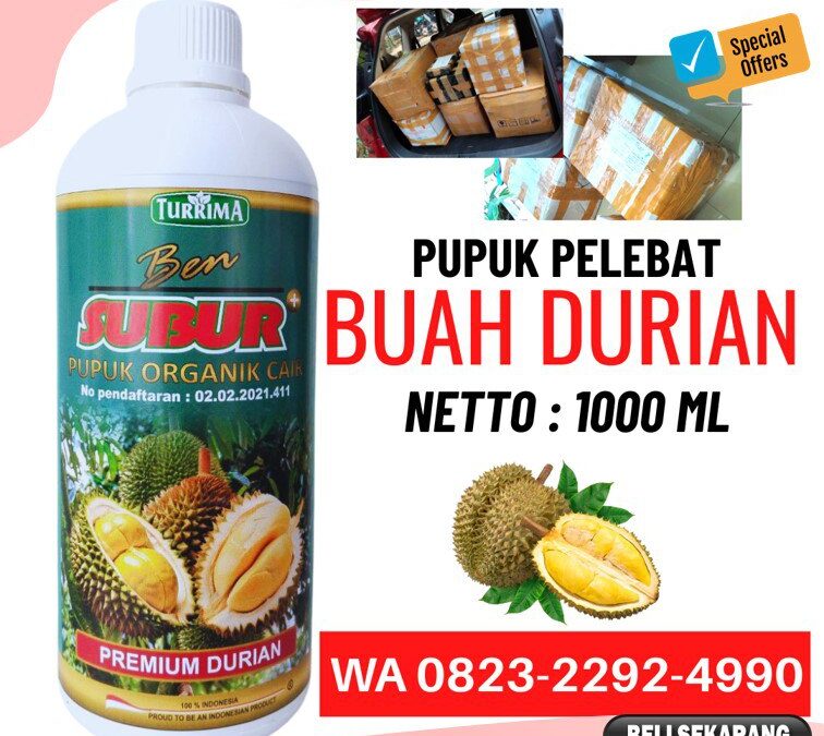 SEDANG PROMO!!! TELP! 0823-2292-4990, TOKO pupuk durian awal tanam Malang, SUPPLIER pupuk durian agar manis Jember, PENYEDIA pupuk durian agar tidak rontok Jombang
