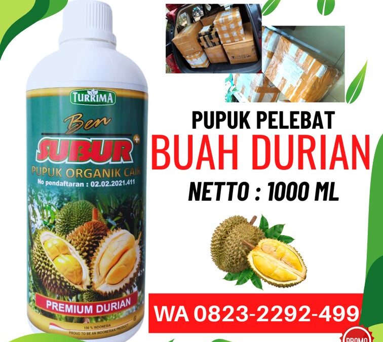ALAMI!!! TELP! 0823-2292-4990, PABRIK pupuk durian alami Ponorogo, JUAL pupuk pohon durian agar cepat besar Blitar, AGEN pupuk anti rontok bunga dan buah durian Lumajang