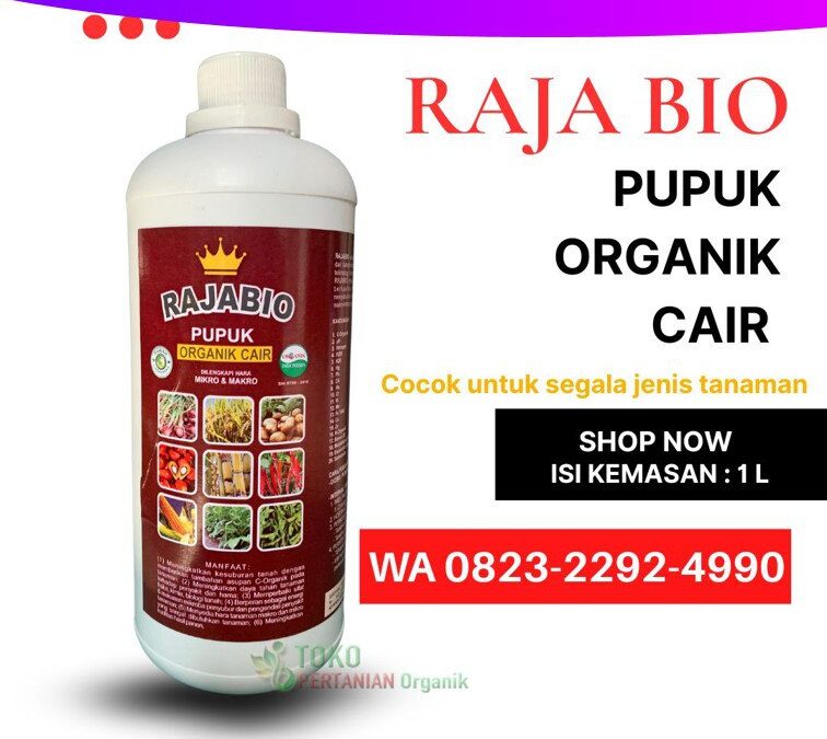AMPUH!!! TELP! 0823-2292-4990, PRODUSEN Pupuk tembakau agar daun tebal Lombok Barat, TOKO Pupuk akar tembakau Lombok Tengah, SUPPLIER Pupuk perangsang akar tembakau Lombok Timur