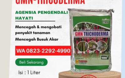 ORGANIK!!! TELP! 0823-2292-4990, DISTRIBUTOR Pupuk trichoderma Malang, PRODUSEN Pupuk trikoderma cabai Kediri, TOKO Pupuk trikoderma Lumajang
