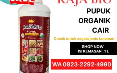 ALAMI!!! TELP! 0823-2292-4990, DISTRIBUTOR Pupuk tembakau agar cepat besar Dompu, PRODUSEN Pupuk tembakau agar daun tebal Lombok Barat, TOKO Pupuk akar tembakau Lombok Tengah