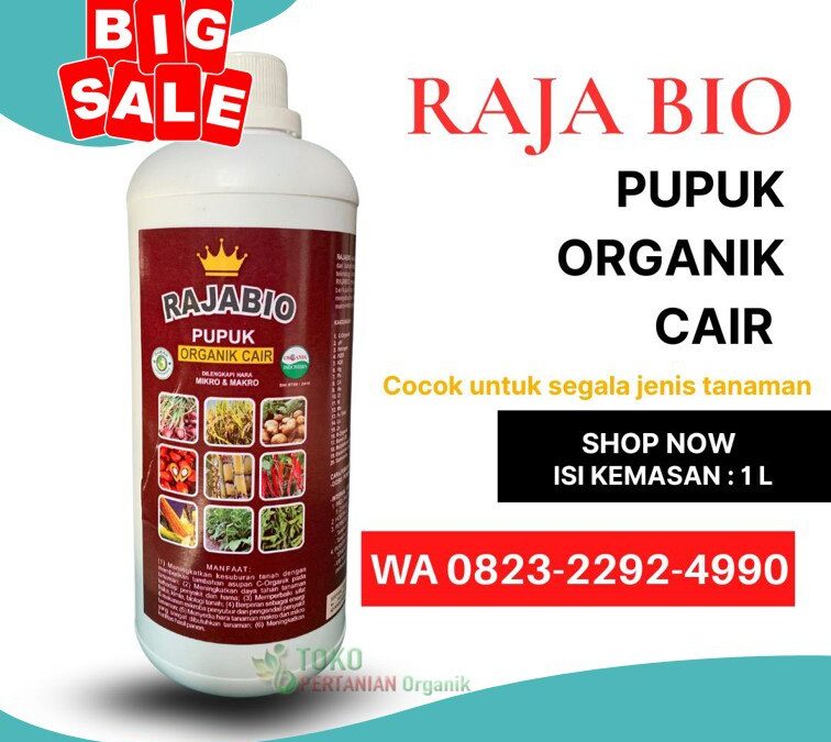 ALAMI!!! TELP! 0823-2292-4990, DISTRIBUTOR Pupuk tembakau agar cepat besar Dompu, PRODUSEN Pupuk tembakau agar daun tebal Lombok Barat, TOKO Pupuk akar tembakau Lombok Tengah