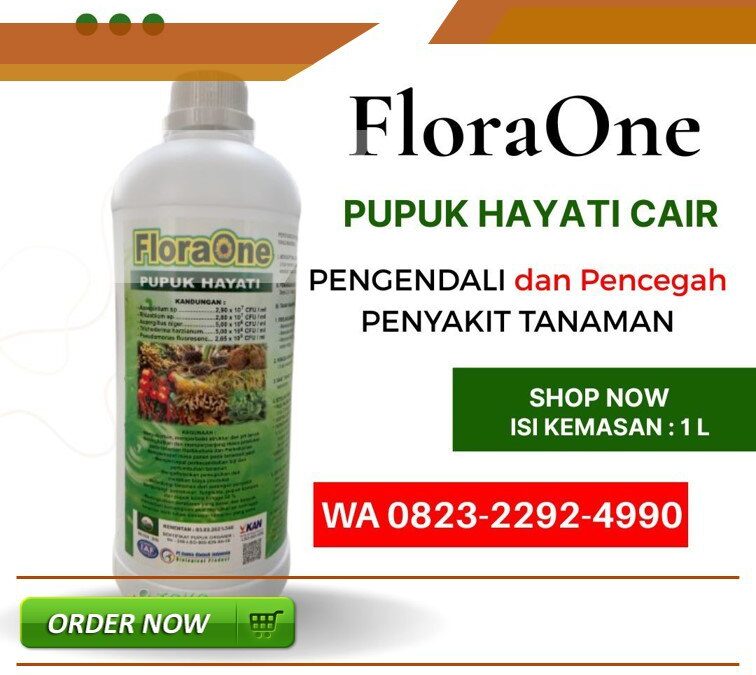 TERPERCAYA!!! TELP! 0823-2292-4990, TOKO Pupuk kakao terbaik Mamuju Tengah, SUPPLIER Pupuk kakao masa vegetatif Parigi Moutong, PENYEDIA Pupuk kakao umur 5 bulan Kota Palu