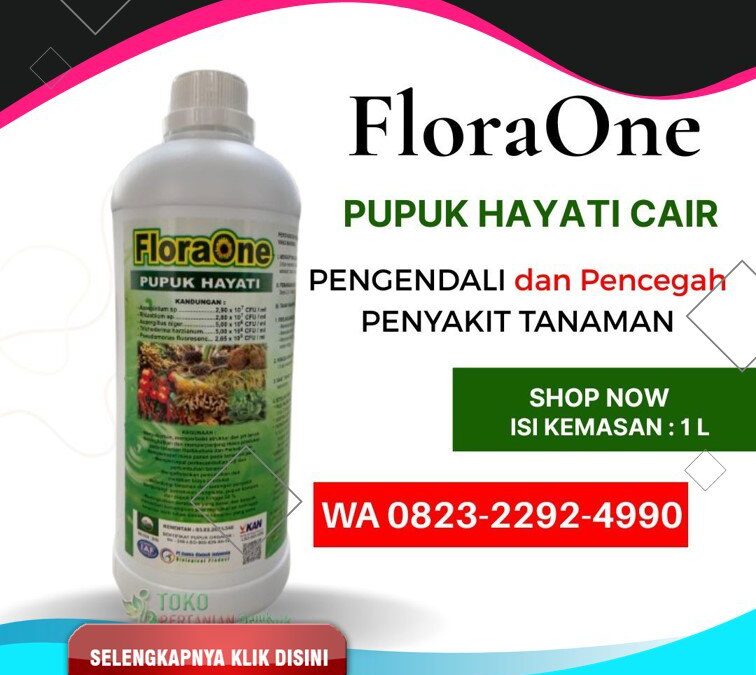 ASLI!!! TELP! 0823-2292-4990, SUPPLIER Pupuk kakao masa vegetatif Parigi Moutong, PENYEDIA Pupuk kakao umur 5 bulan Kota Palu, PABRIK Pupuk kakao umur 2 bulan Banggai