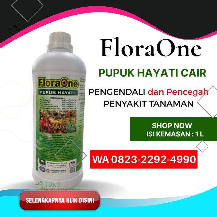 ASLI!!! TELP! 0823-2292-4990, SUPPLIER Pupuk kakao masa vegetatif Parigi Moutong, PENYEDIA Pupuk kakao umur 5 bulan Kota Palu, PABRIK Pupuk kakao umur 2 bulan Banggai