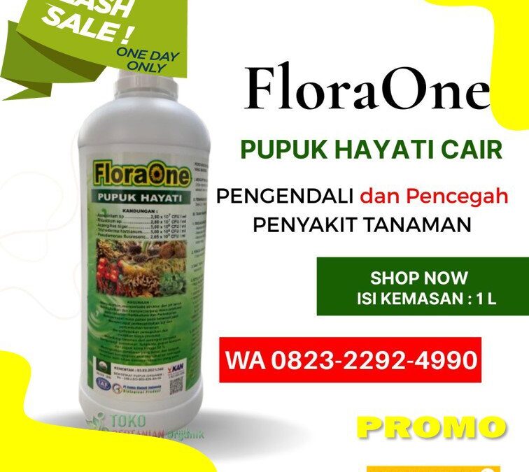 SEDANG PROMO!!! TELP! 0823-2292-4990, JUAL Pupuk kakao umur 3 bulan Donggala, AGEN Pupuk untuk kakao baru tanam Polewali Mandar, DISTRIBUTOR Pupuk untuk kakao berbuah lebat Mamuju