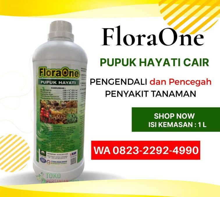 TERBUKTI!!! TELP! 0823-2292-4990, PABRIK Pupuk kakao umur 2 bulan Banggai, JUAL Pupuk kakao umur 3 bulan Donggala, AGEN Pupuk untuk kakao baru tanam Polewali Mandar
