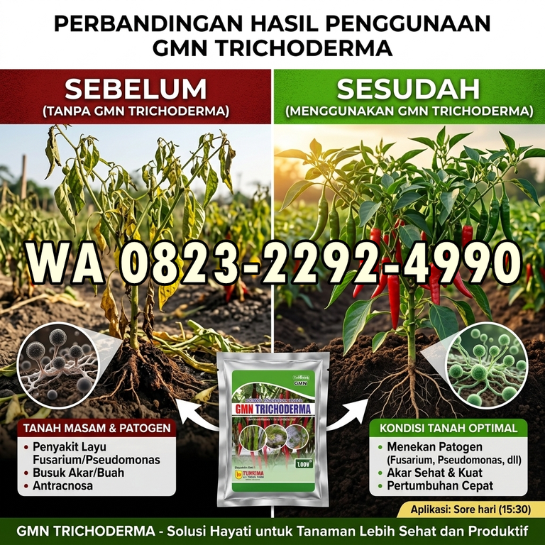 SALE!!! HUB: 0823-2292-4990 Pusat Pupuk Atasi Busuk Pangkal Batang Majalengka, Toko Pupuk Atasi Busuk Batang Cabai Tasikmalaya