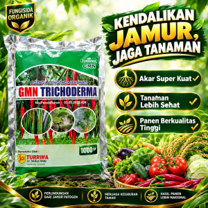 Fungisida Hayati Trichoderma, Pupuk Tricoderma atasi Layu fusarium