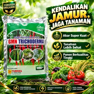 Fungisida Hayati Trichoderma, Pupuk Tricoderma atasi Layu fusarium