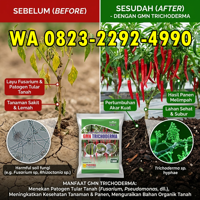 SALE!!! HUB: 0823-2292-4990 Pusat Obat Layu Pada Tanaman Banjarnegara, Toko Obat Layu Fusarium Pemalang