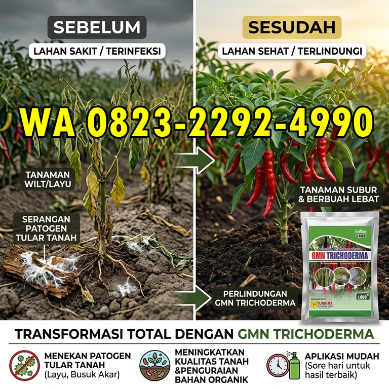 TERBARU!!! HUB: 0823-2292-4990 Grosir Pupuk Fungisida Cabai Musim Hujan Magelang, Pabrik Pupuk Fungisida Buah Karanganyar