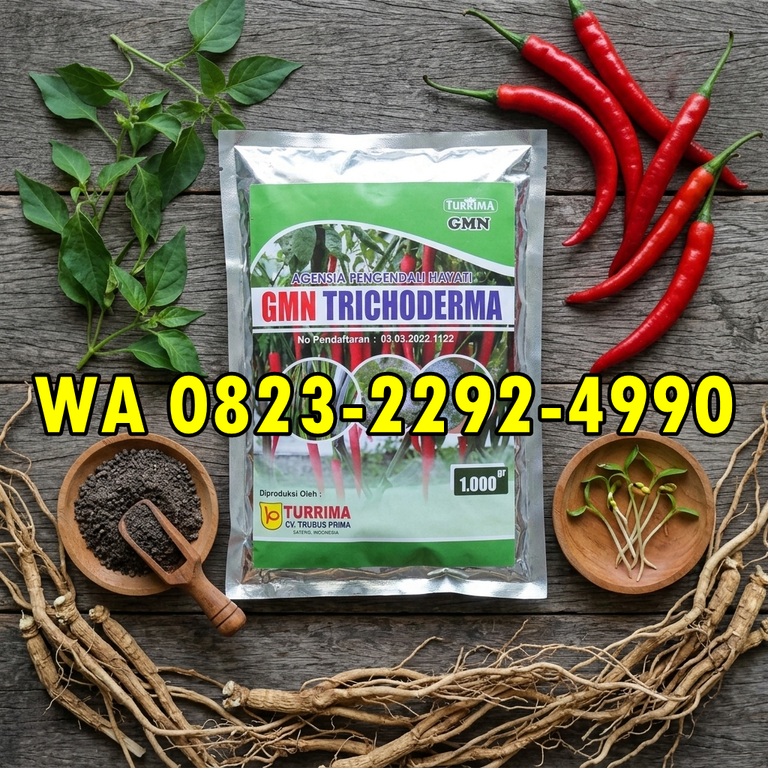 TERBAIK!!! HUB: 0823-2292-4990 Harga Obat Patek Cabe Wonosobo, Distributor Obat Busuk Buah Terbaik Temanggung