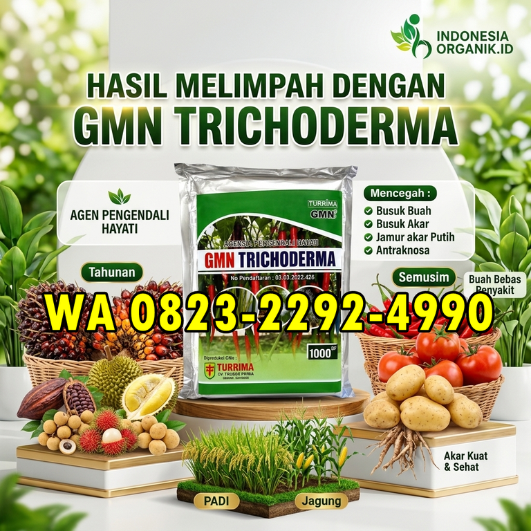 ASLI!!! HUB: 0823-2292-4990 Supplier Pupuk Atasi Busuk Buah Kuningan, Jual Pupuk Anti Layu Fusarium Cianjur