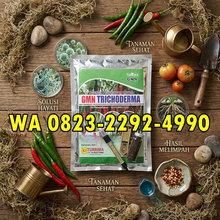 TERPERCAYA!!! HUB: 0823-2292-4990 Distributor Obat Busuk Buah Terbaik Temanggung, Agen Pupuk Fungisida Ampuh Boyolali