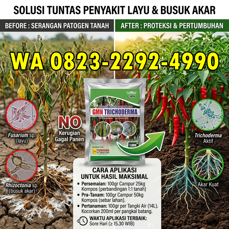 TERPERCAYA!!! HUB: 0823-2292-4990 Distributor Pupuk Layu Fusarium Pada Tomat Bandung, Agen Pupuk Layu Fusarium Bawang Merah Bandung Barat
