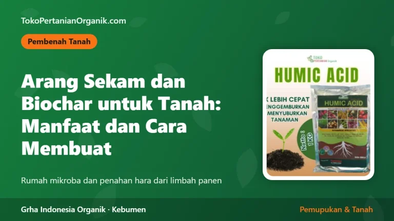 Arang Sekam dan Biochar untuk Tanah: Manfaat dan Cara Membuat