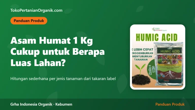 Asam Humat 1 Kg Cukup untuk Berapa Luas Lahan? Hitungan per Jenis Tanaman