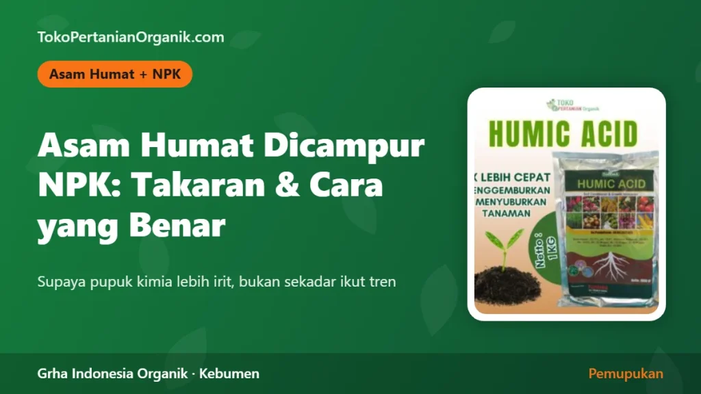 Asam Humat Dicampur Pupuk NPK: Takaran, Cara Mencampur, dan Kesalahan yang Sering Terjadi