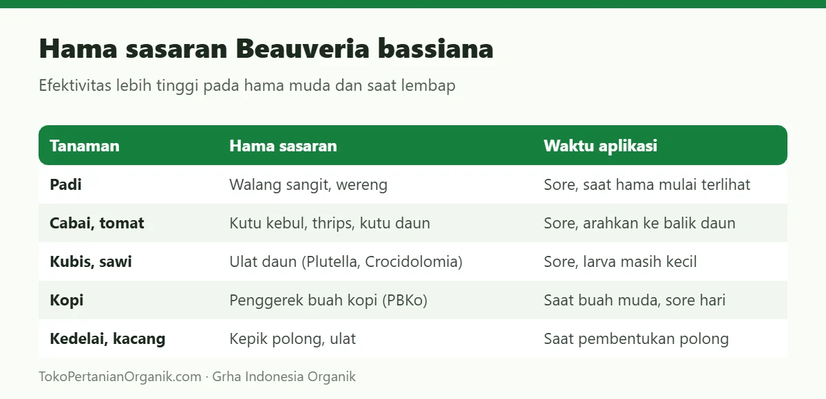 Hama sasaran Beauveria bassiana