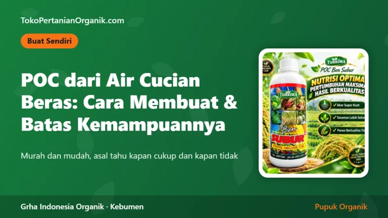 Cara Membuat Pupuk Organik Cair dari Air Cucian Beras (dan Batas Kemampuannya)
