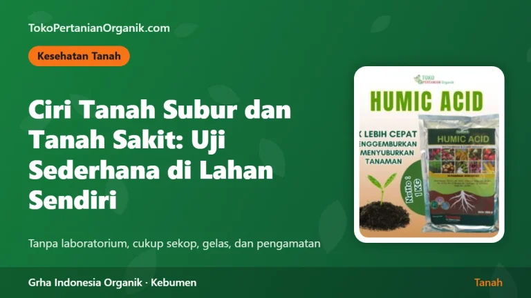 Ciri Tanah Subur dan Tanah Sakit: Uji Sederhana di Lahan Sendiri