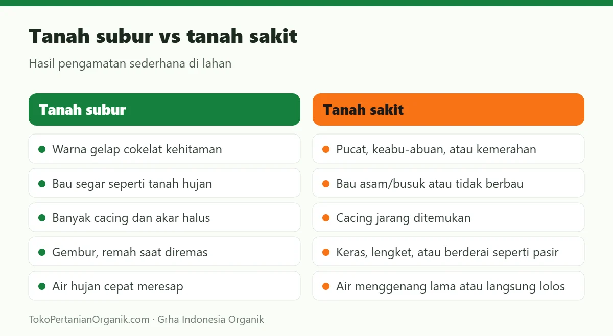 Tanah subur vs tanah sakit