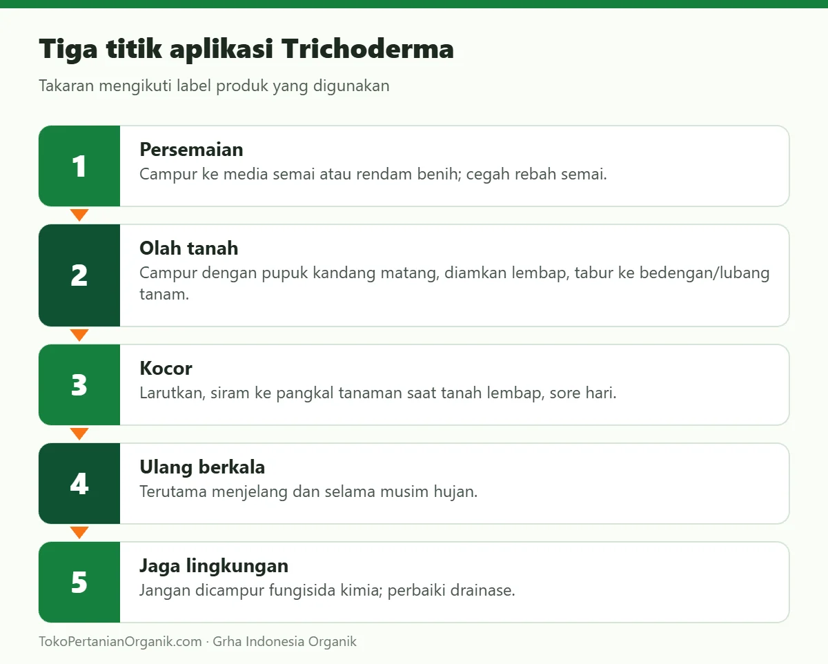 Tiga titik aplikasi Trichoderma