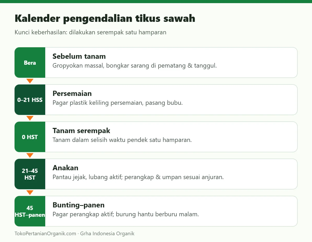 Kalender pengendalian tikus sawah