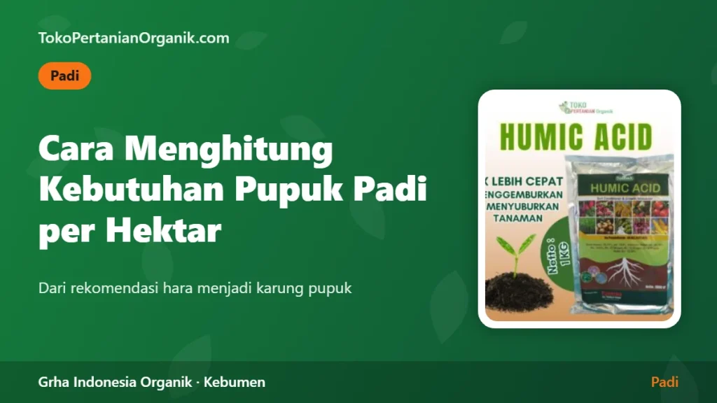 Cara Menghitung Kebutuhan Pupuk Padi per Hektar