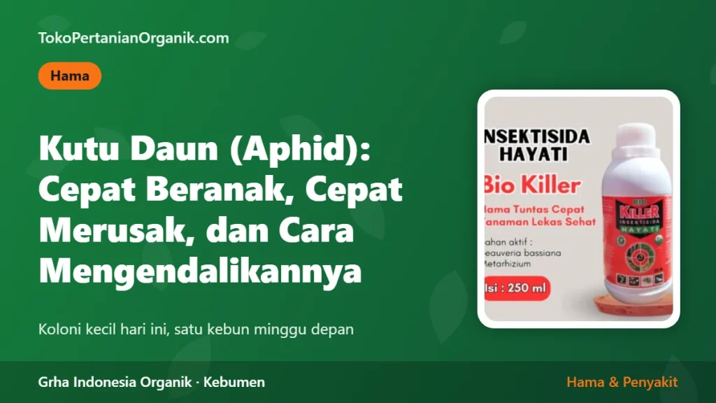 Kutu Daun (Aphid): Cepat Beranak, Cepat Merusak, dan Cara Mengendalikannya