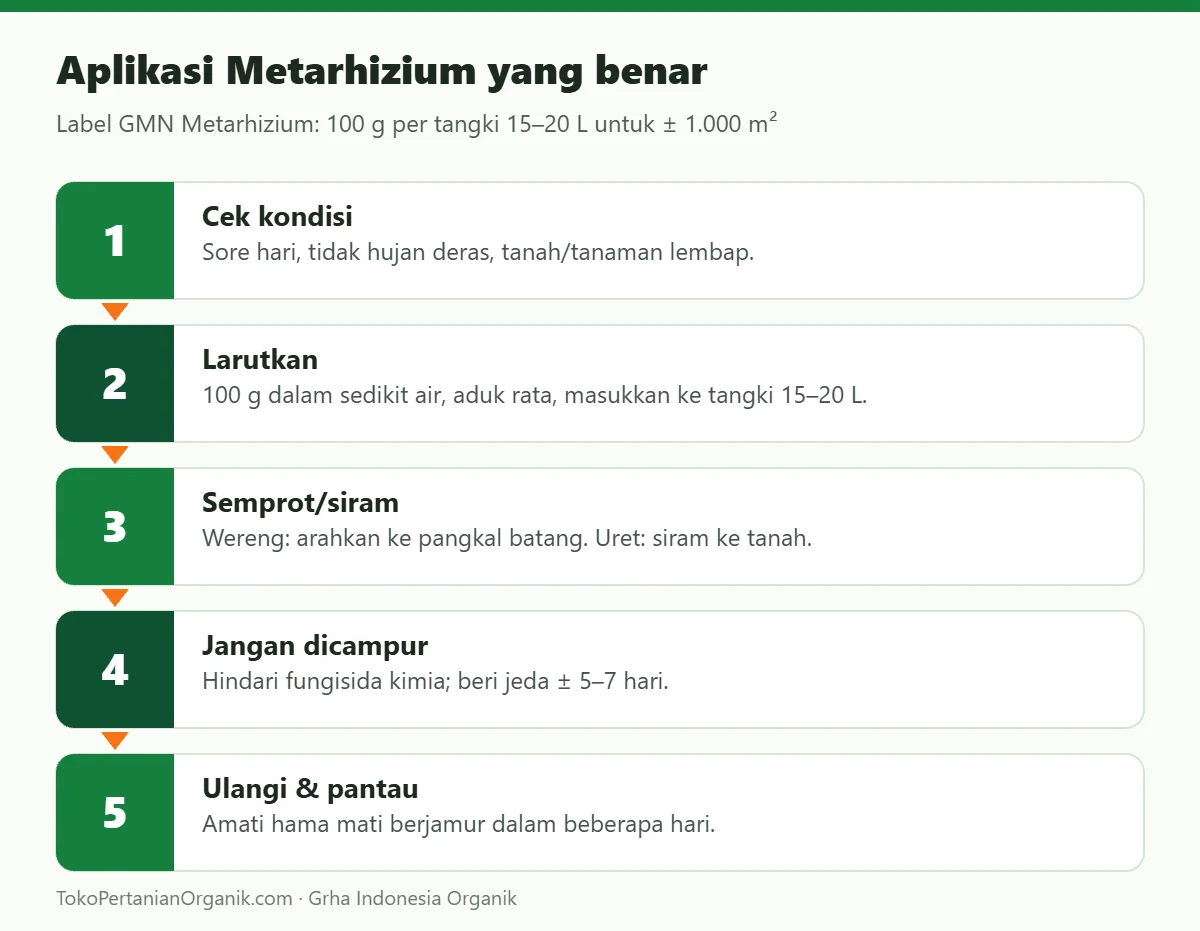 Aplikasi Metarhizium yang benar