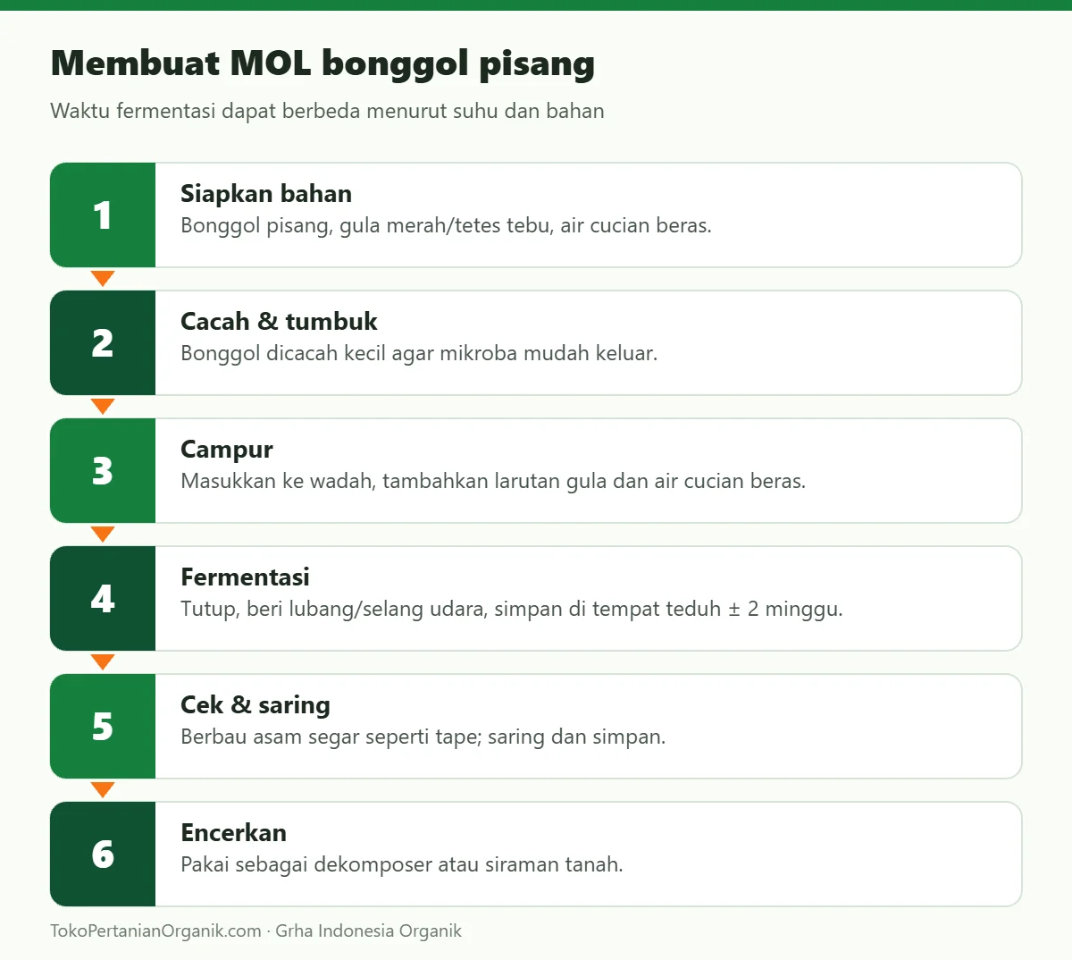 Membuat MOL bonggol pisang