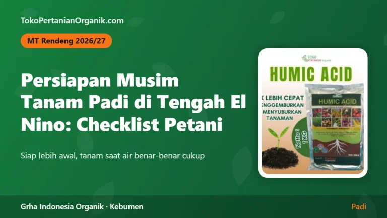 Persiapan Musim Tanam Rendeng 2026/27 di Tengah El Nino: Checklist Petani Padi