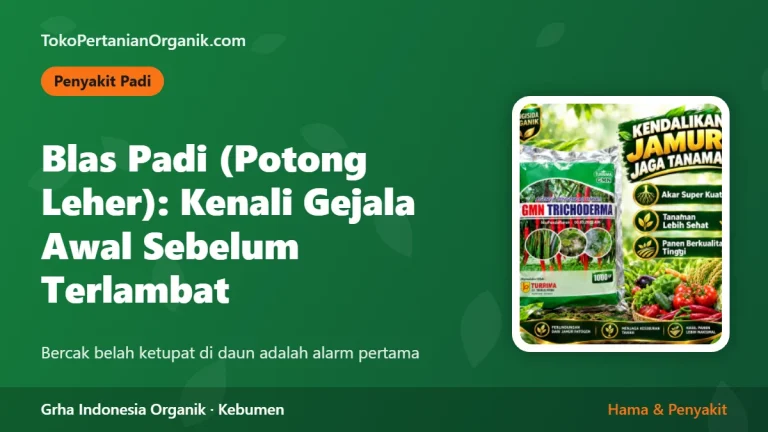 Blas Padi (Potong Leher): Kenali Gejala Awal Sebelum Terlambat
