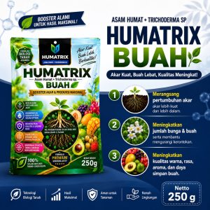 Pupuk buah agar cepat berbuah dalam pot asli ampuh, Nutrisi buah dan penyubur tanaman HUMATRIX