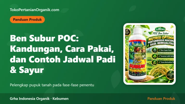 Ben Subur POC: Kandungan, Dosis Semprot, dan Contoh Jadwal untuk Padi dan Sayur