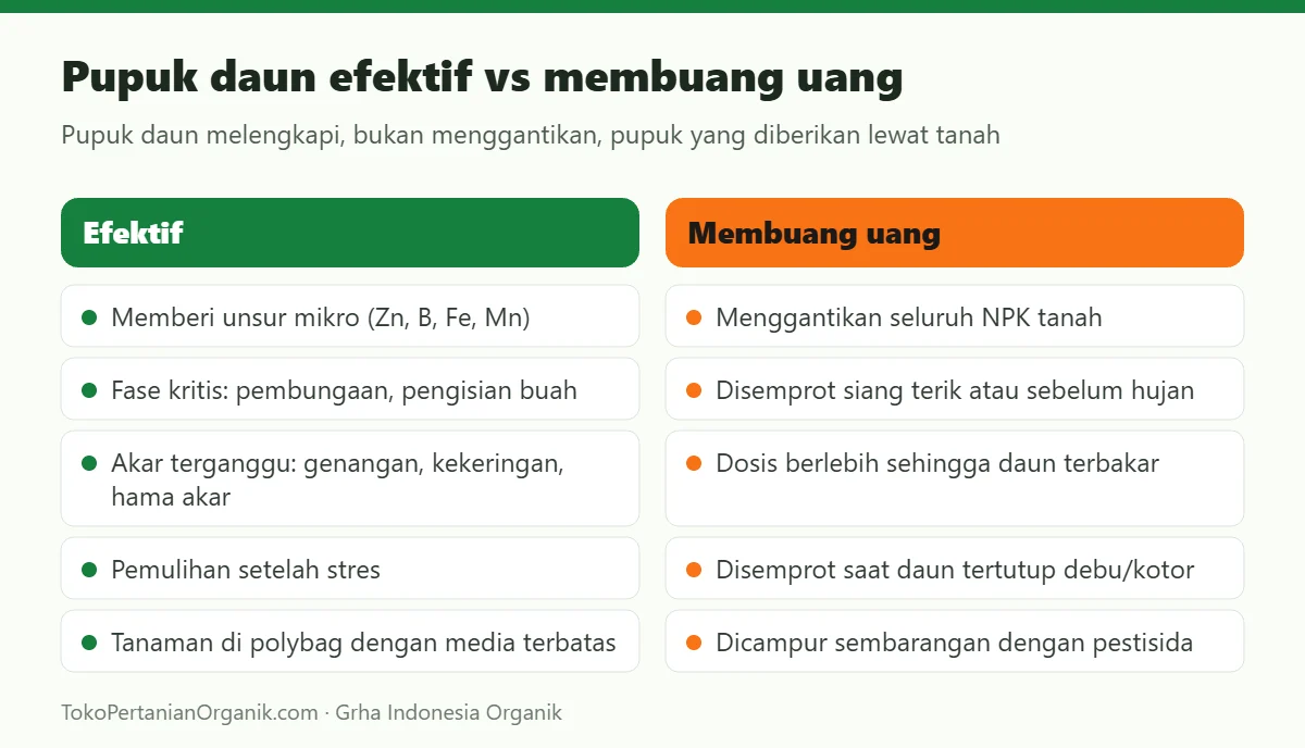 Pupuk daun efektif vs membuang uang