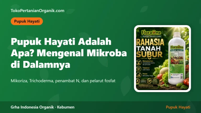 Pupuk Hayati Adalah Apa? Mengenal Mikoriza, Trichoderma, dan Bakteri Penambat N